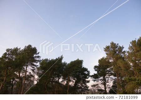 Wide angle image of contrails, aka vapour trails, traveling into trees Wide angle image of contrails, aka vapour trails, traveling into trees 72181099