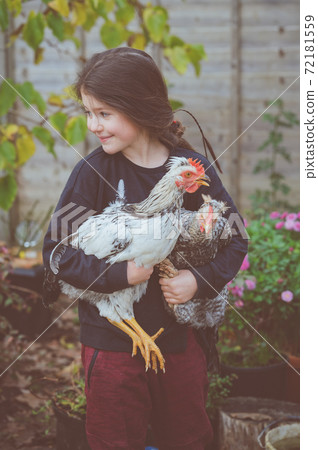Little girl in black top holding cream crested legbar cockerels 72181559