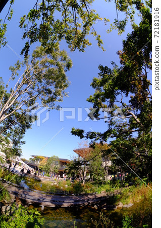 Green Springs Gardens 72181916