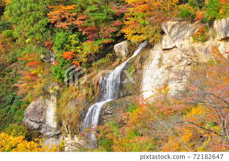 山形市Yamadera Funpakusan Kinshu秋葉河谷藤花瀑布 山形市Yamadera Funpakusan Kinshu秋葉河谷藤花瀑布 72182647