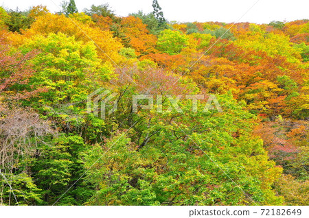 Omoshiroyama, Yamadera, Yamagata City, Kinshu Autumn Leaves River Valley 72182649