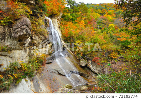 山形市Yamadera Funpakusan Kinshu秋葉河谷藤花瀑布 72182774