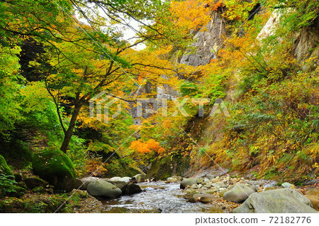 Omoshiroyama, Yamadera, Yamagata City, clear stream of the autumn leaves river valley in Kinshu 72182776