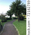 Summer walking path 72182789