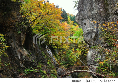 Omoshiroyama, Yamadera, Yamagata City, a bridge over the clear stream of the autumn leaves river valley in Kinshu Omoshiroyama, Yamadera, Yamagata City, a bridge over the clear stream of the autumn leaves river valley in Kinshu 72183277