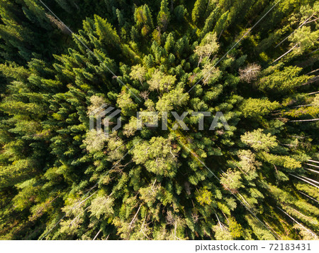 Beautiful Panoramic View of Canadian Nature Beautiful Panoramic View of Canadian Nature 72183431
