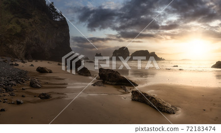 Ecola State Park, Cannon Beach, Oregon, United States Ecola State Park, Cannon Beach, Oregon, United States 72183474