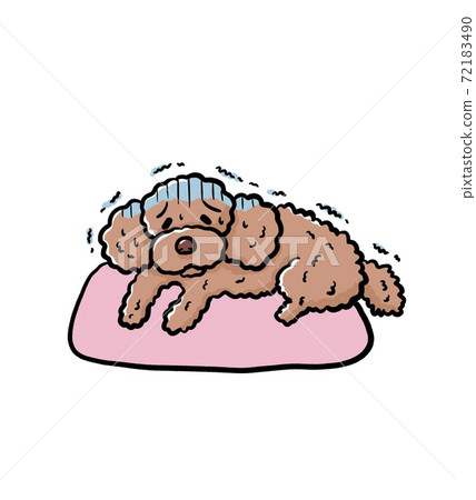 Illustration of a sick toy poodle Illustration of a sick toy poodle 72183490