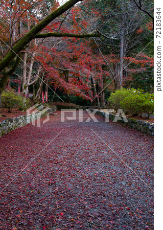 Bishamon-do和Shiki Momiji Bishamon-do和Shiki Momiji 72183644