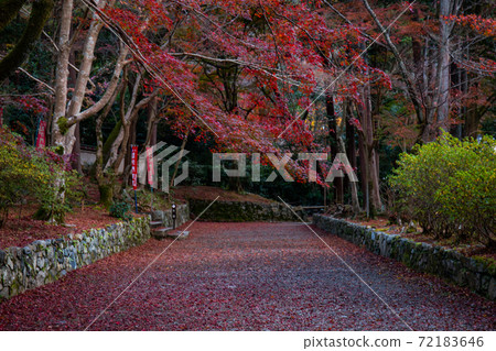 Bishamon-do和Shiki Momiji Bishamon-do和Shiki Momiji 72183646