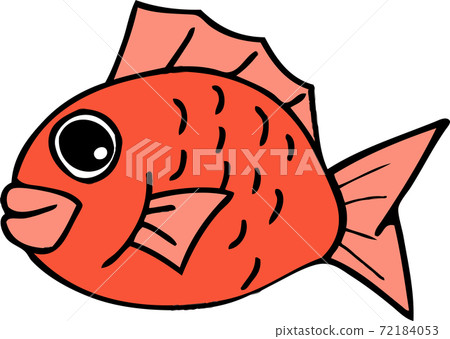 Illustration of a simple cute sea bream Illustration of a simple cute sea bream 72184053