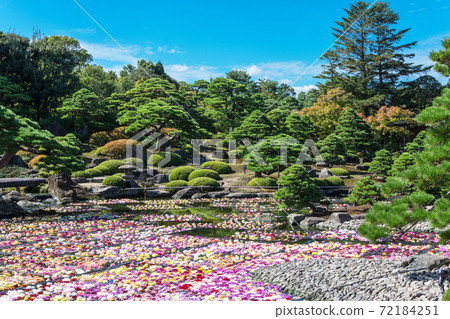 在日本庭園和大麗花盛開的日本享受秋天 在山陰島根觀光 照片素材 圖片 圖庫