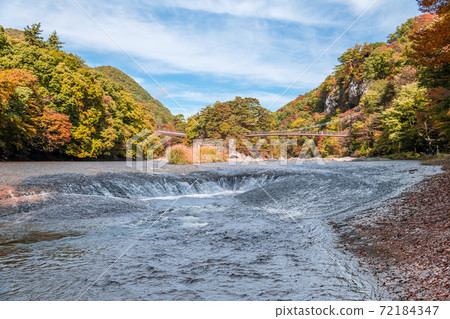[Fukiware Falls, Autumn Leaves and Suspension Bridge] 72184347
