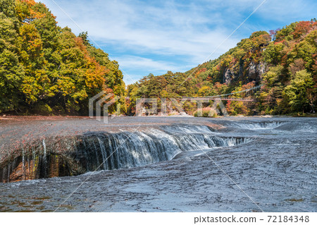 [Fukiware Falls, Autumn Leaves and Suspension Bridge] 72184348