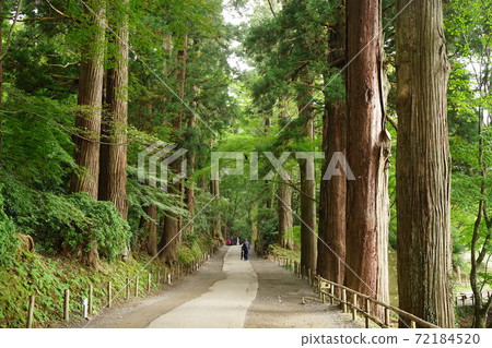 岩手縣西岩井郡平泉町築地坂 72184520