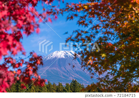[Mt. Fuji and autumn leaves from Road Station Asagiri Kogen] 72184715