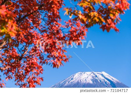 [Mt. Fuji and autumn leaves from Road Station Asagiri Kogen] 72184717