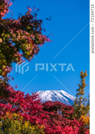 [Mt. Fuji and autumn leaves from Road Station Asagiri Kogen] 72184718