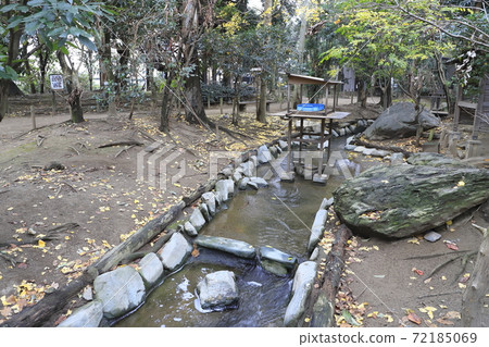 Campbell Town野生鳥類森林Koshigaya市,埼玉縣 Campbell Town野生鳥類森林Koshigaya市,埼玉縣 72185069