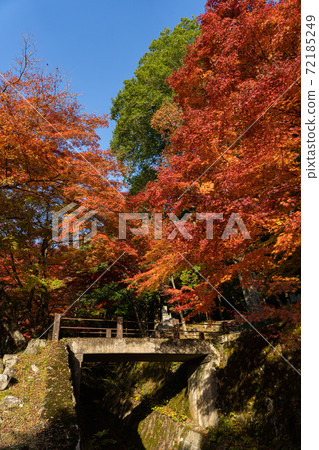 Image of a park surrounded by autumn leaves Image of a park surrounded by autumn leaves 72185249