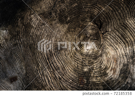 Background material for old tree rings Background material for old tree rings 72185358
