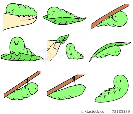 9種Imomushi插圖 9種Imomushi插圖 72185389