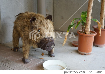 Iwakuni City Road Station "Pure Line" Wild Boar Welcome Iwakuni City Road Station "Pure Line" Wild Boar Welcome 72185804