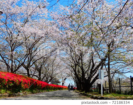 Amagajo Park Amagajo Park 72186334