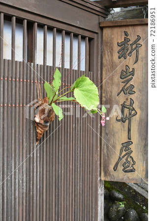 Tsumagojuku store Saki Tsumagojuku store Saki 72186951