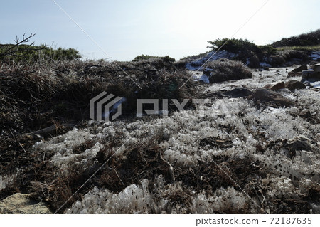 Nasu mountain range, frost pillars found near Kiyohira Nasu mountain range, frost pillars found near Kiyohira 72187635