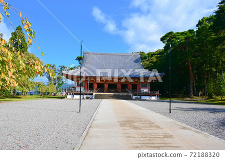 大悟近藤國寶 大悟近藤國寶 72188320