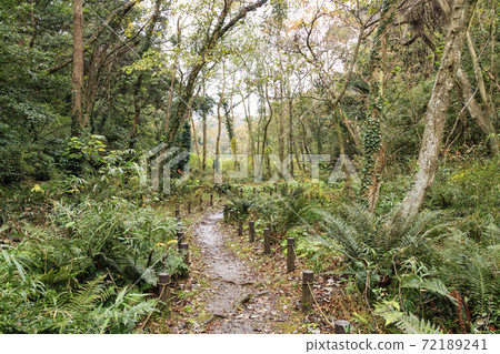 Koamishiro Forest (Winter) Koamishiro Forest (Winter) 72189241