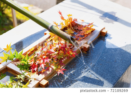 Autumn leaves of Kurikara Fudoji Autumn leaves of Kurikara Fudoji 72189269