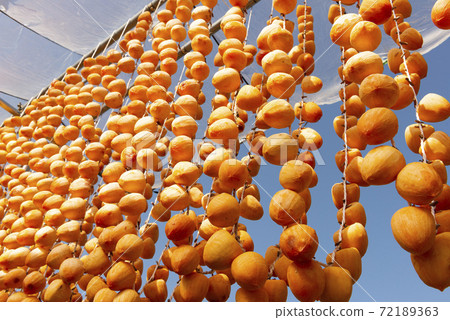 山梨的美味露露柿子 72189363