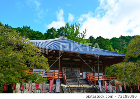 non農聖地33號大悟Kan non農聖地11號 non農聖地33號大悟Kan non農聖地11號 72189380