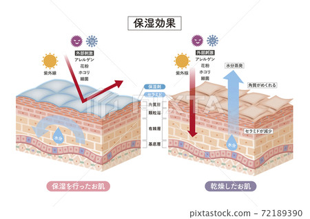 皮膚 人體皮膚 女生 72189390