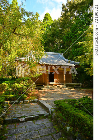 大悟寺新陽三脈堂 大悟寺新陽三脈堂 72190321
