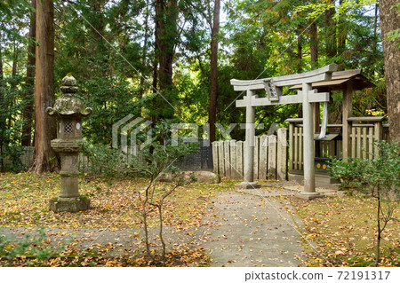 [三重縣]關田神社（大宮，春日大社，南投） 72191317