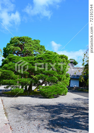 大悟寺山本國寶 72191544