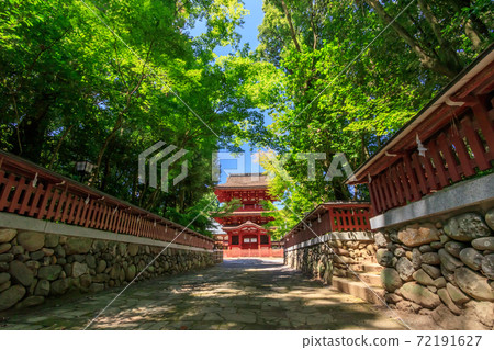 大分縣中津市推薦神社（大正八man推薦神社） 72191627