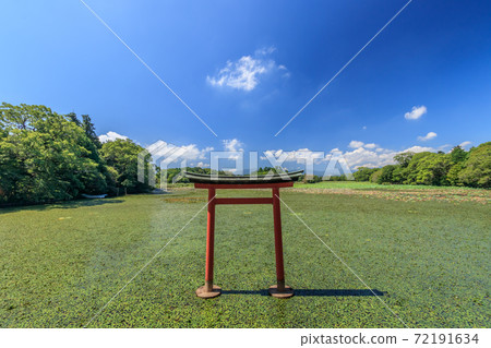 大分縣中津市推薦神社(大正八man推薦神社) 大分縣中津市推薦神社(大正八man推薦神社) 72191634