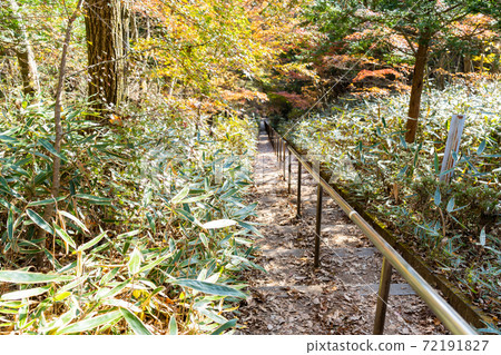 [Yamanashi Prefecture] Ishiwari Shrine approach 72191827