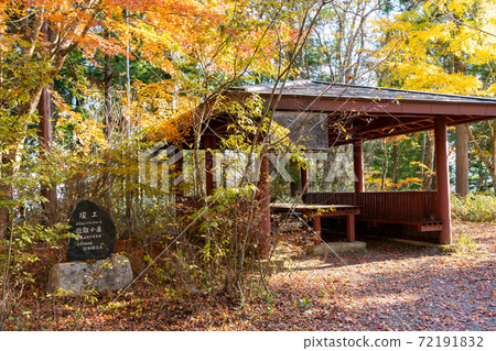 [Yamanashi Prefecture] Ishiwari Shrine approach 72191832