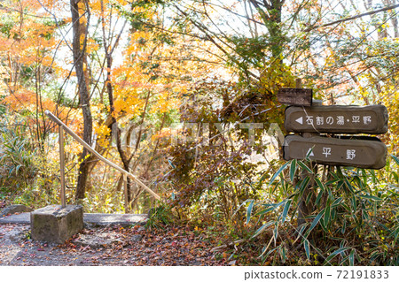 [Yamanashi Prefecture] Ishiwari Shrine approach 72191833