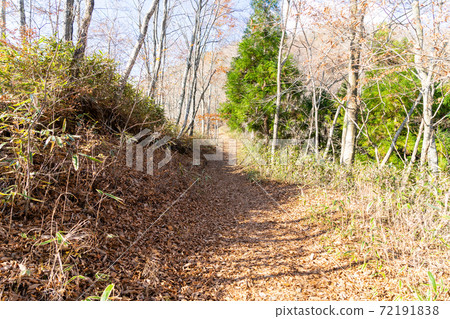 [Yamanashi Prefecture] Ishiwari Shrine approach 72191838