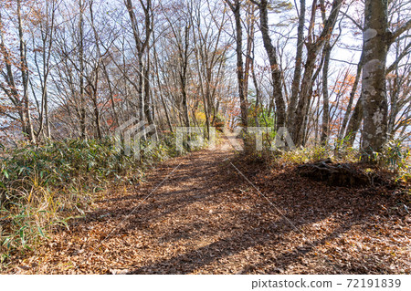 [Yamanashi Prefecture] Ishiwari Shrine approach 72191839