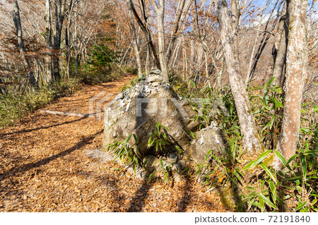 [Yamanashi Prefecture] Ishiwari Shrine approach 72191840