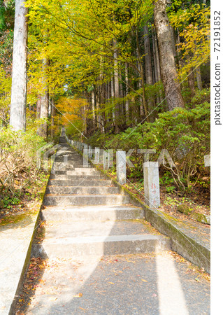 [Yamanashi Prefecture] Ishiwari Shrine approach 72191852