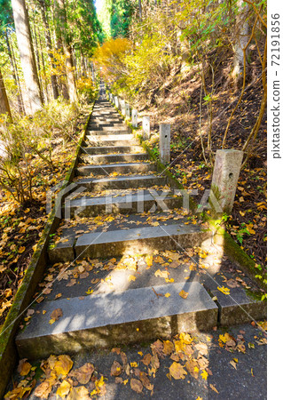 [Yamanashi Prefecture] Ishiwari Shrine approach 72191856
