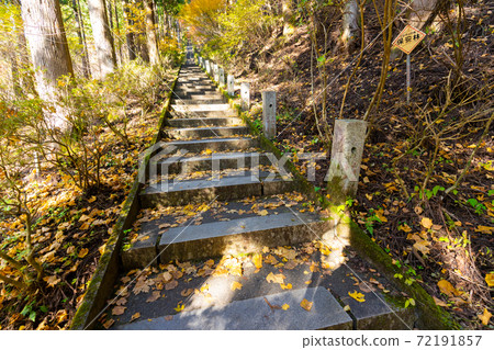 [Yamanashi Prefecture] Ishiwari Shrine approach 72191857